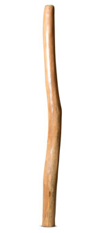 Earl Clements Didgeridoo (EC501)